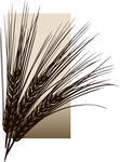 simos-logo